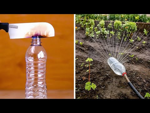 Советы и Хитрости от Мастеров, Которые Действительно Работают