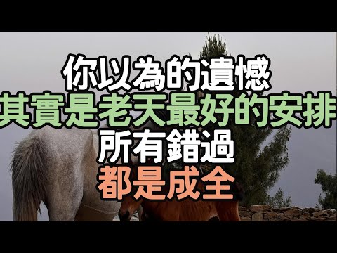 你以為的遺憾，其實是老天最好的安排，所有錯過都是成全，#極簡生活 #人生設計 #心靈自由 #生活和諧 #人生價值觀 #生活決策 #內心寧靜 #生活優化 #生活洞察 #正向思維 # i愛生活life