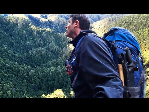 I CAN'T believe there's still SO MUCH GOLD here!!