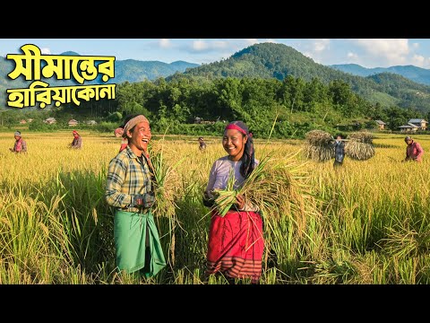 শেরপুরের সীমান্তবর্তী হারিয়াকোনায় গারো জনগোষ্ঠীর জীবন || Panorama Documentary