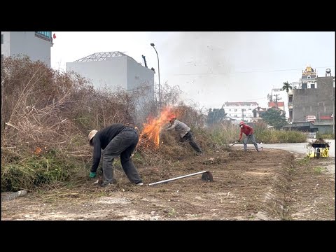 A Shocking Sidewalk Cleanup Transformation That Left the Environmental Inspectors Speechless#cleanup