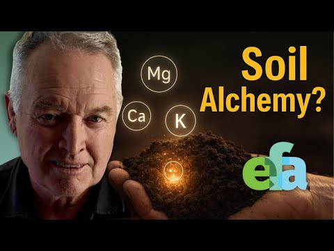 Is Your Soil Creating Minerals Out Of Thin Air? | Biological Transmutation Explained