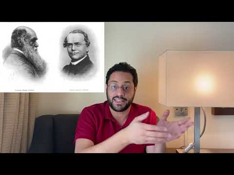 لماذا لا يمكن فهم العالم فهماً نهائياً؟