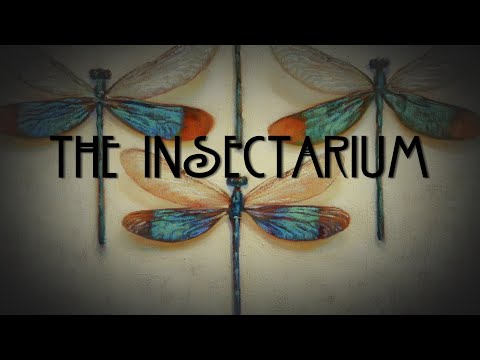 The Insectarium: An Artist's Homage to the Insect World