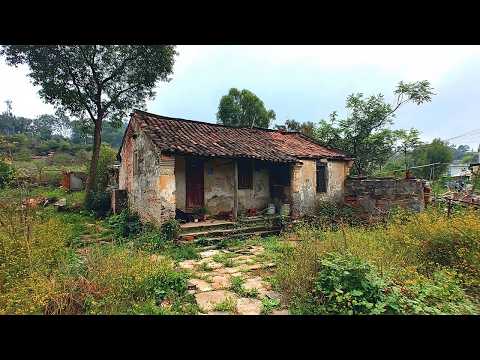 After losing his family, Man Renovates abandoned house overgrown with weeds and lives with his dog