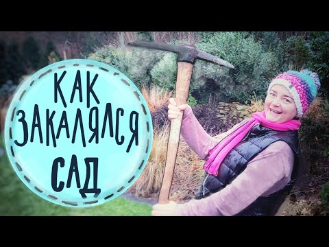 10 ошибок начинающего садовода.Посмотрите это видео и вы сэкономите свои силы и средства! До / после