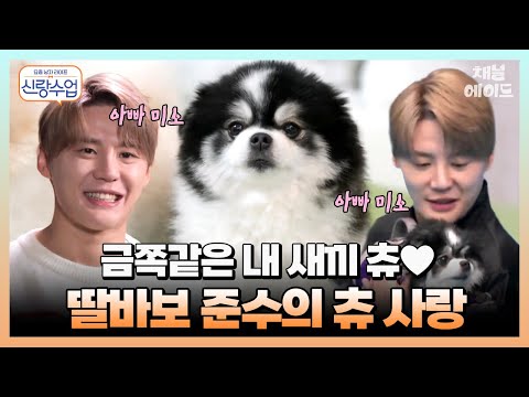 [#신랑수업] 알레르기도 불사한 찐 사랑💗 예비 딸바보 준수의 츄 육아일기🐾 | 요즘남자라이프 신랑수업 7-9 회