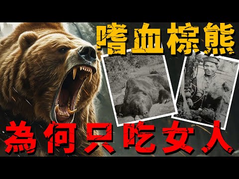 Bear That Only Eats Women? Japan’s Deadliest Animal Attacks and Shocking Investigation!