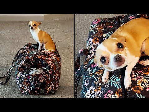 She Knew What Was Coming