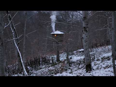 Extreme Cold Bushcraft: Alone in the Cabin When Something Screamed