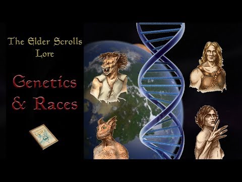 The Genetics of the Races of Tamriel - The Elder Scrolls Lore