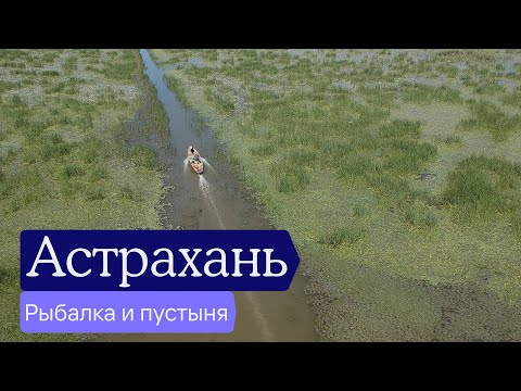 Астрахань — не только рыбалка? | Отчёт разведки