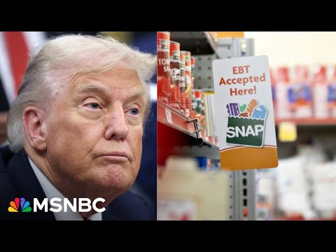 ‘You ought to walk in my shoes’: Food bank leader’s message to Trump amid shutdown