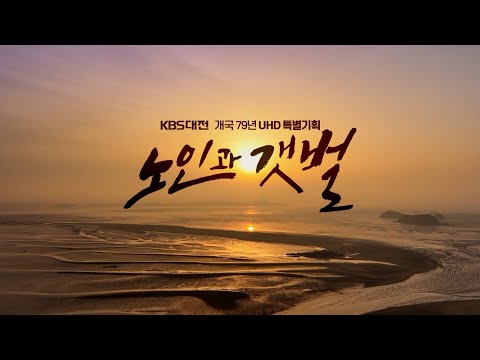 KBS대전 UHD 특별기획 노인과 갯벌 / KBS대전 20220628 방송