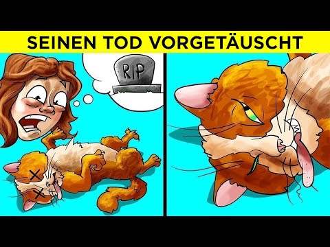 Diese Tiere bringen dich garantiert zum Lachen