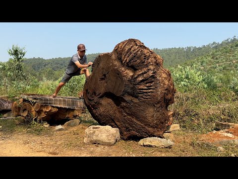 Million Dollar Masterpiece From Giant Tree Stump// Giant Rare Tree Stump Into a Luxury Wooden Table