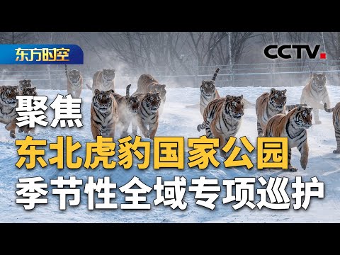 寒冬之后的又一个春天 国家公园全域专项巡护：怎么巡？如何护？| CCTV「东方时空」