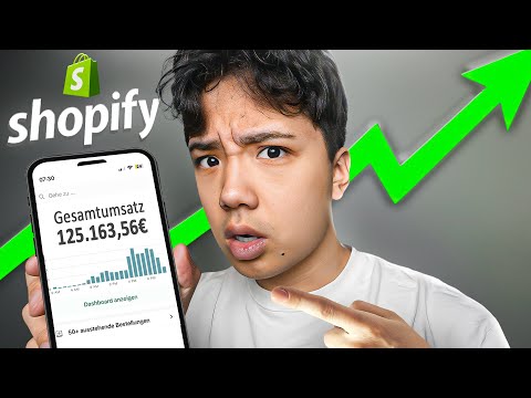 Von 0€ ➡️ 100.000€ mit Dropshipping! (Experiment)