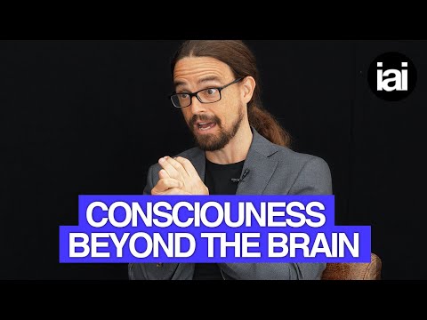 Why consciousness might continue after death | Àlex Gómez-Marín