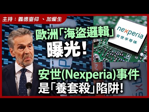 歐洲「海盜邏輯」曝光！安世(Nexperia) 事件是「養套殺」陷阱！