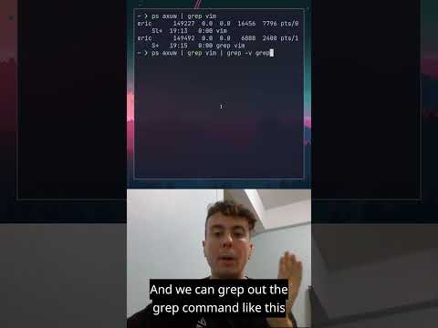 I finally learned how to exit Vim
