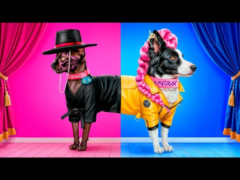 Wir bauen einen geheimen Raum mit K-Pop Demon Hunters! Die Squid Game Puppe adoptiert einen Hund!