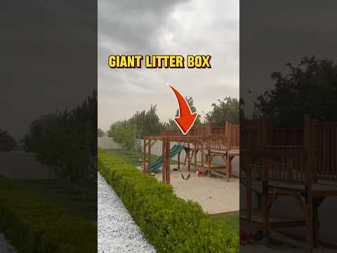 Giant litter box #lawncare #fyp