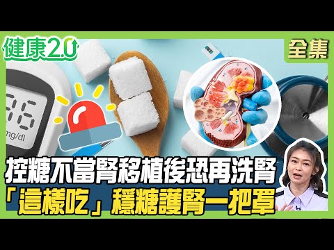 網紅律師25歲就洗腎！控糖不當腎友移植後恐再洗腎！護腎先控三高「這樣吃」血糖、腎臟、心臟一把罩！健康2.0 20250413【完整版】#鄭凱云 #林承叡 #王健宇 #劉怡里 #王明勇 #洪素卿