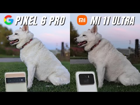Pixel 6 Pro vs Mi 11 Ultra Camera Comparison