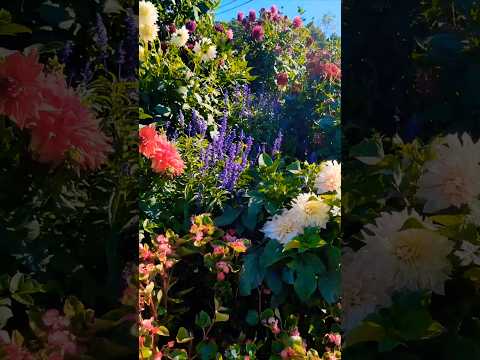 Jaw-dropping Neighborhood Entrance Garden