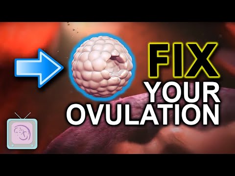 What causes ovulation problems?