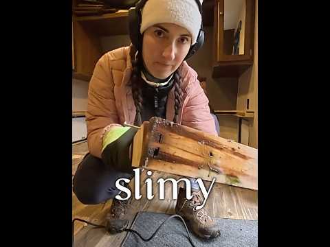 There's a monster under the bed (Trailer Reno Pt 3)