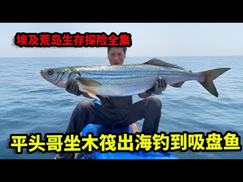 埃及荒岛生存探险全集：平头哥坐木筏出海钓到吸盘鱼，收获巨型扇贝和八爪鱼，又是丰收的一天【户外平头哥】