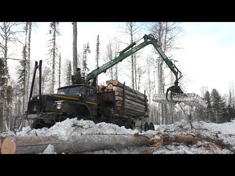 Вывожу остатки леса. Не вышел в подъём. Конец 2024 года.