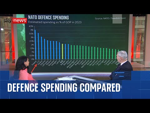 Michael Clarke analysis: NATO countries' defence spending compared to the US