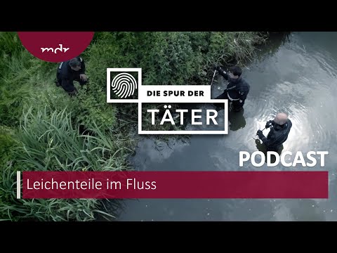 Leichenteile im Fluss – der Stückelmord an Jonathan H. | Podcast Die Spur der Täter | MDR