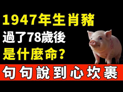 1947年生肖豬，過了78歲後是什麼命，句句說到心坎裹。【般若之音】#生肖 #運勢 #風水 #財運#命理