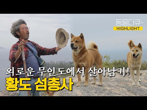 [동물극장 유튜브 오리지널] 자칭 '황도 이장' 자연인과 두 반려견의 좌우충돌 무인도 라이프🏔️ | 동물극장 단짝 EP19 | KBS 220604 방송