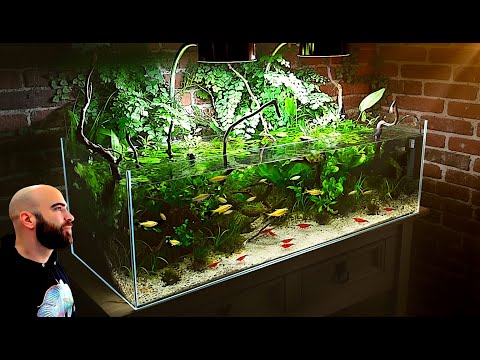 Self Balancing Ecosystem Aquarium (How The Obsession Started)