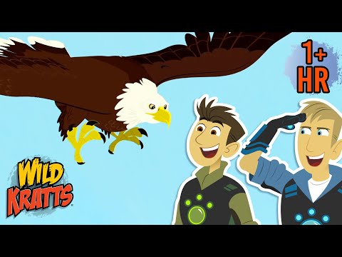 Epic Eagle Adventures | National Save the Eagles Day (Jan 10) | Wild Kratts