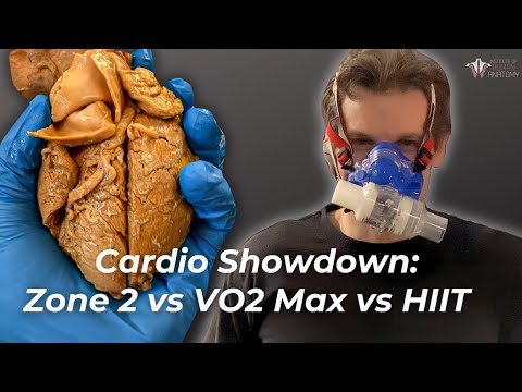 The Most Effective Type of Cardiovascular Training