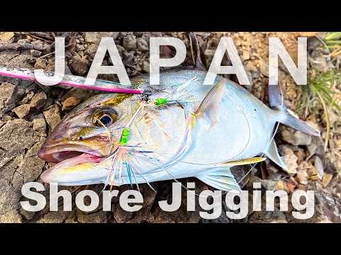 Nonstop Jigging Action – Fish After Fish