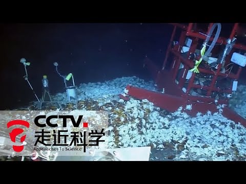《走近科学》 来自海底的生物（下）：深海海底的冷泉和热液 20190227 | CCTV走近科学官方频道