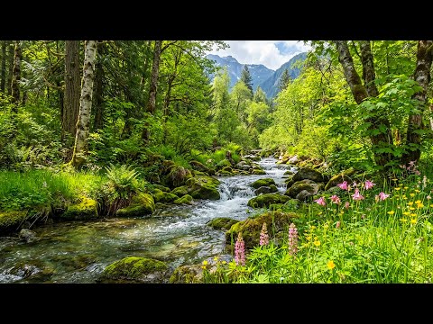 Healing Music for the Heart & Mind 🌿 Nature Sounds for Stress Relief & Deep Sleep