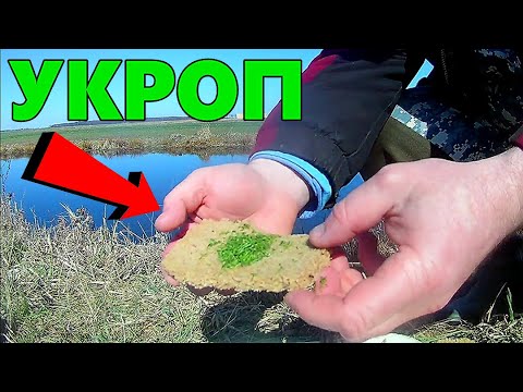 I put the UKROP under water. The reaction of the fish. Underwater shooting.