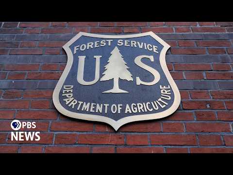 WATCH LIVE: U.S. Forest Service chief testifies at House budget hearing as Trump moves to gut agency