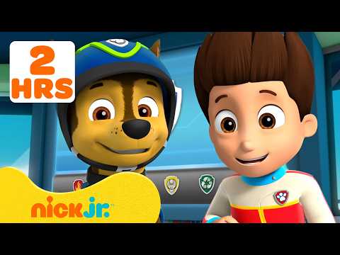 Patrulha Canina | Missão do Castor, Casa na Árvore & Mais! 🦫🌳 | Nick Jr. em Português