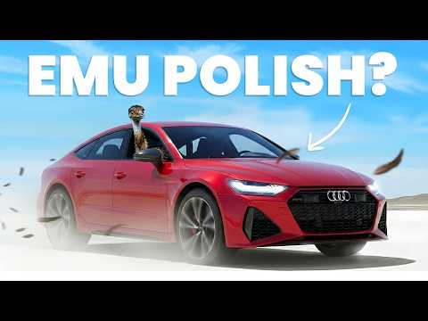 101 Facts About AUDI