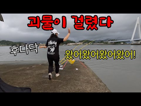 A monster was caught on an empty breakwater...so big...so big