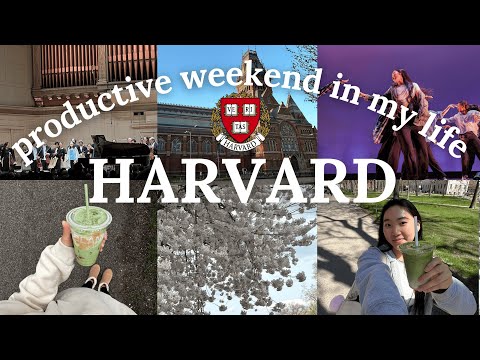weekend in my life @ harvard 🌸 20+ hrs of studying, super productive & fun
